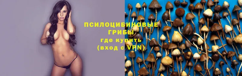 shop какой сайт  Октябрьский  Псилоцибиновые грибы Cubensis 